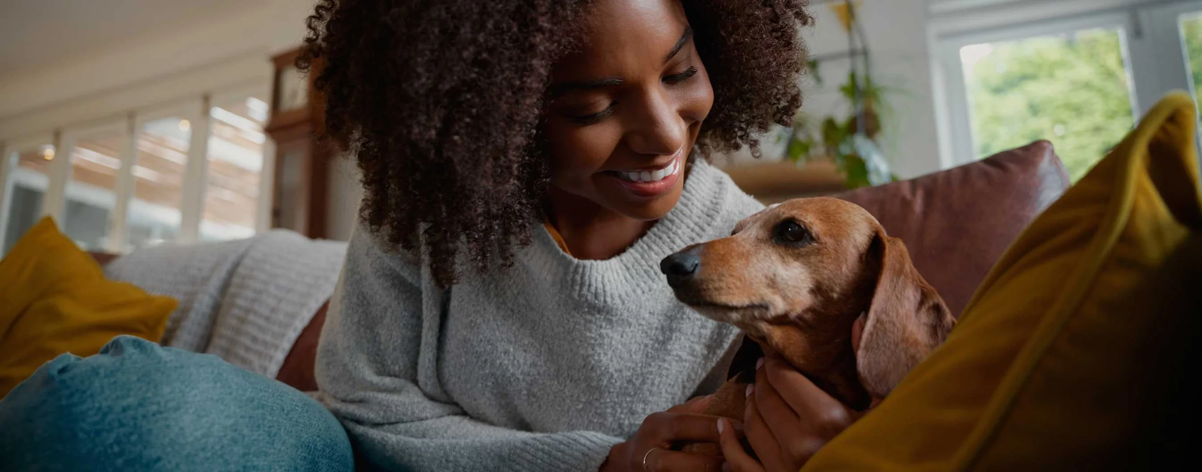 Trusted Care for Your Animals